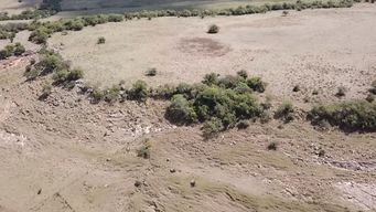 rige desde el lunes la declaracion de emergencia agropecuaria para toda la zona rural del pais