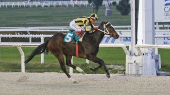 Subrayado | 12 MICRO TURF 10 D JUN