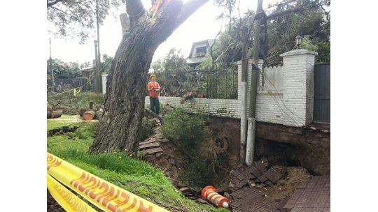 Árbol cayó sobre casa de Carrasco; IM analizará causas