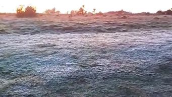 jueves y fin de semana largo con tiempo frio, heladas y muy bajas sensaciones termicas