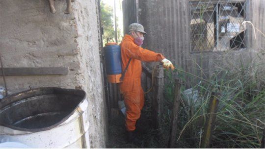 Comenzaron las tareas de fumigación en Artigas tras inundaciones