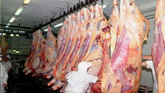 carne