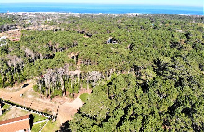 Aerea MSc3 S11  2.jpg