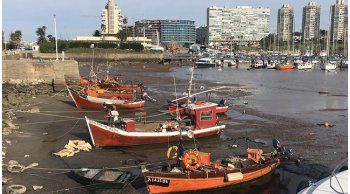 gran bajante del rio de la plata dejo varios barcos encallados