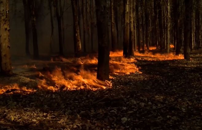 PAYSANDU-INCENDIOS.jpg