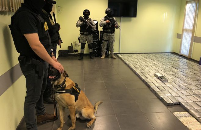 Policía-cocaína-salto-octubre-23-450-kilos-perro.jpg