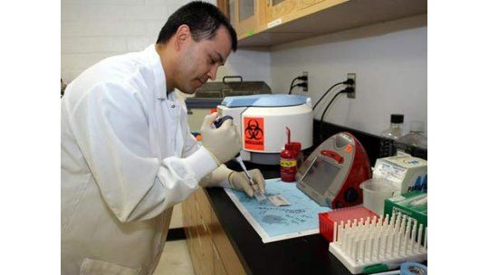 Mapas del cerebro permitirán buscar fármacos para el alzhéimer