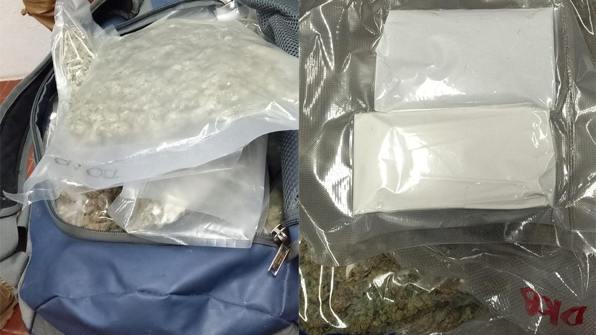 Incautaron casi tres kilos y medio de cogollos y hachís en un ómnibus de pasajeros en Río Branco