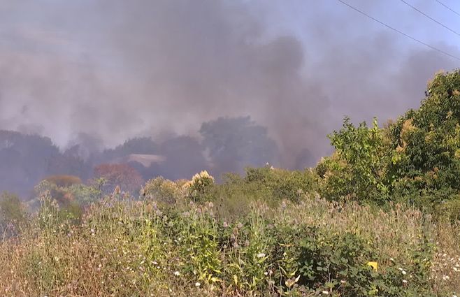 incendio-forestal-campo-uruguay