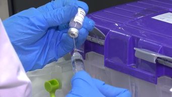 infectologo galiana exhorto a la vacunacion contra el meningococo en ninos y adolescentes tras caso de muerte de alumna de escuela 182