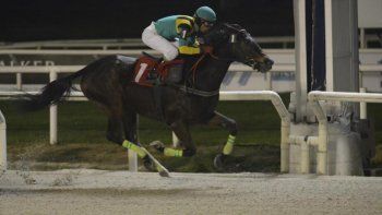 Subrayado | MICRO TURF 2 D AGO