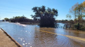 hay 422 personas desplazadas, 79 evacuadas y 343 autoevacuadas