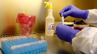 este domingo se contabilizaron 6.102 casos nuevos de coronavirus y 12 fallecimientos