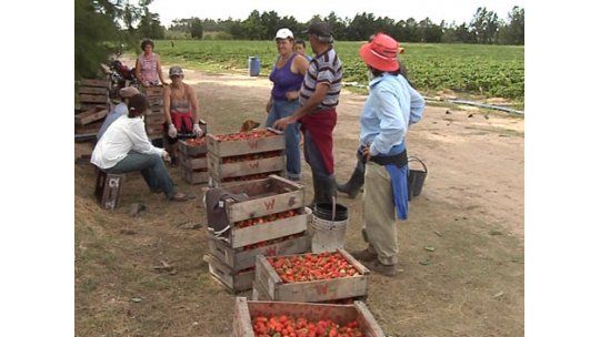 Cerro Largo: Una de cada tres personas trabaja en negro