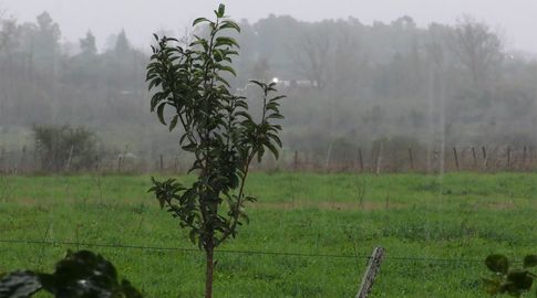 Acumulados de lluvia por encima de 100 mm en varias zonas del litoral y centro del país Acumulados de lluvia por encima de 100 mm en varias zonas del litoral y centro del país