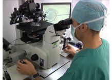 No todas las parejas accederán a la reproducción asistida