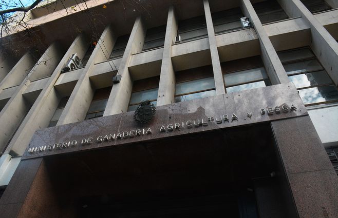 ministerio-de-ganderia-mgap-fachada-foco-uy-Diego-Lafalche.jpg