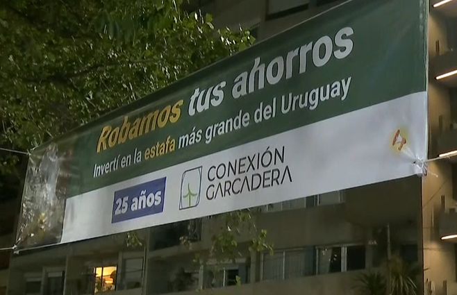 movilizacion-conexion-ganadera.jpg
