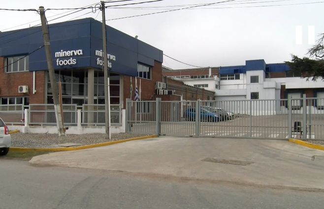 frigorífico-canelones-minerva.jpg