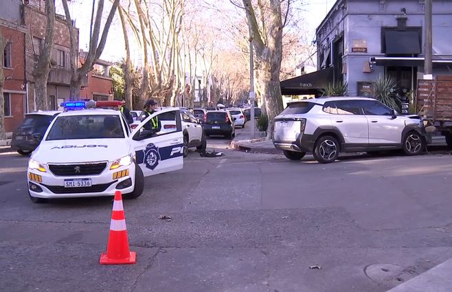siniestro-luis-de-la-torre-y-montero-pocitos