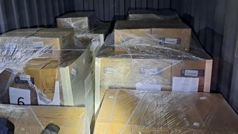 jueza dio lugar a pedido de prision domiciliaria para imputado por trafico de budines con cocaina