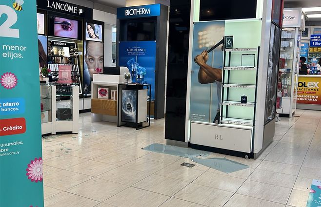 robo-piraña-pocitos-pigalle-avenida-brasil