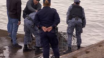 que se sabe del crimen de martin migales, el hombre descuartizado y arrojado al rio de la plata