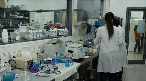 El 99% de los casos estudiados son de variante ómicron