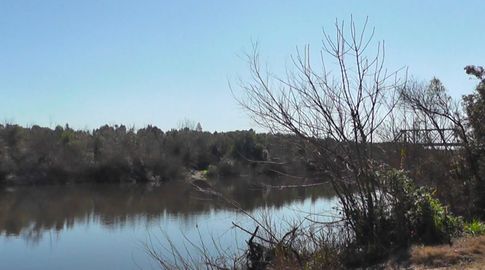 Presidente de OSE dijo que las lluvias han sido un alivio pero que la emergencia hídrica continúa