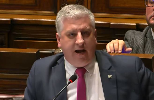 Juan-Martín-Rodríguez-en-Diputados-junio-sobre-Danza