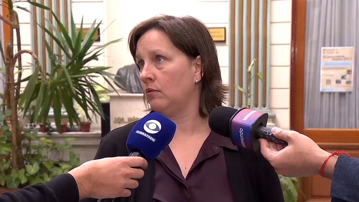 Directora de Primaria sobre caso de meningococo: "Se hizo la profilaxis a niños y adultos que estuvieron en contacto estrecho"