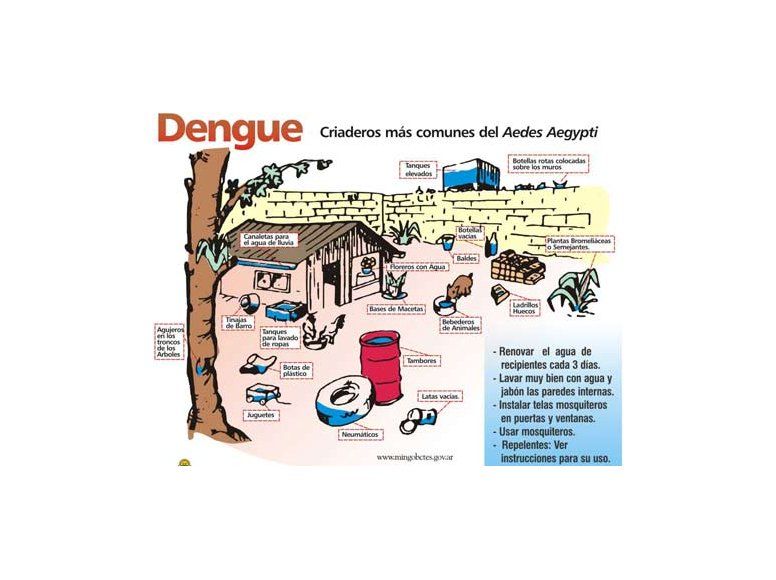 Alerta oficial por epidemia de dengue; exigen plan a mutualistas