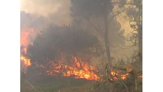 Bomberos combate en incendio a pocos kilómetros de Conchillas