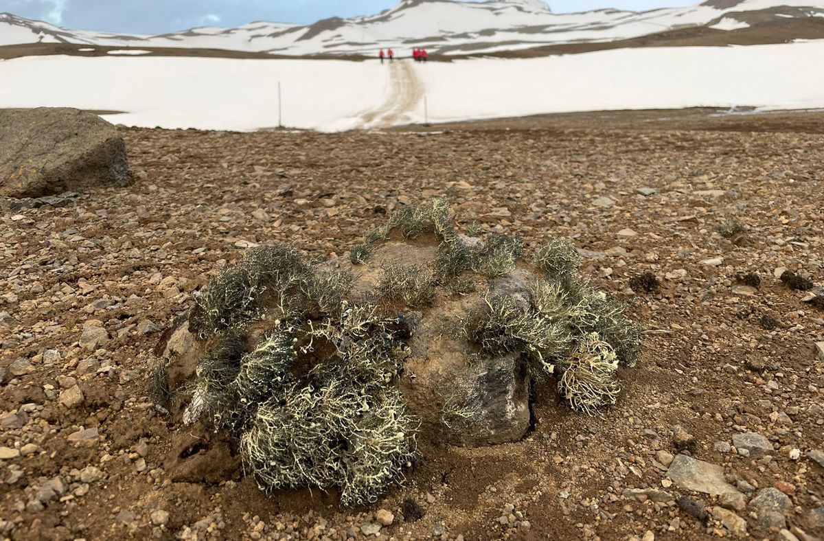 Foto: María García