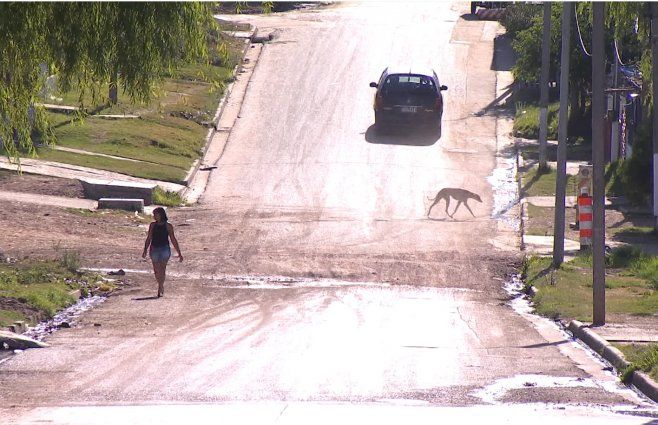 Foto: Subrayado. Barrio Plácido Ellauri, zona donde ocurrió el homicidio.