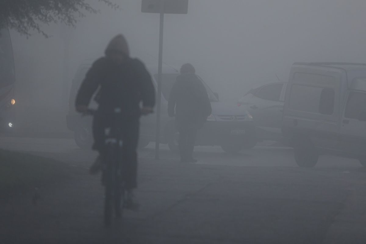 WhatsApp Image 2023-06-16 at 09.07.41.jpeg