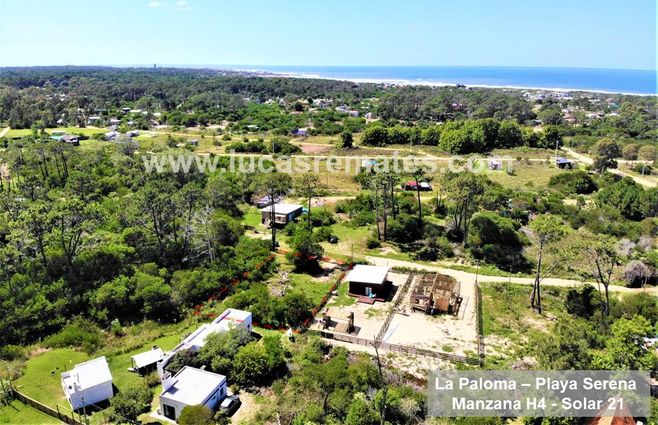 Diapositiva4 (1).JPG