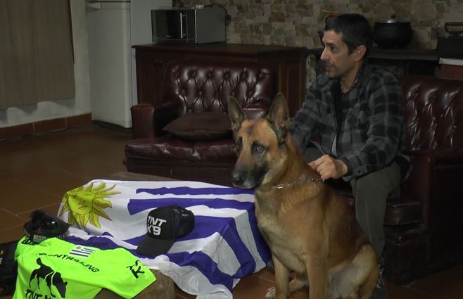 nerón-perro-melo.jpg