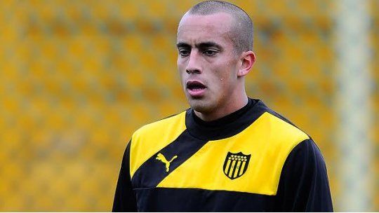 Guzmán Pereira