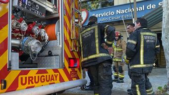 Bomberos en el Servicio Nacional de Sangre. Foto: Marcelo Auyanet, Subrayado.