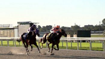 Subrayado | MICRO TURF 25 D ABR