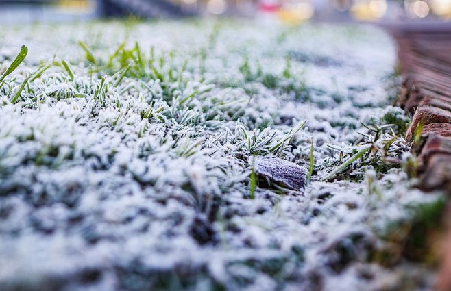 Invierno con heladas. Foto: FocoUy