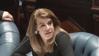 el senado despidio con elogios de todos los partidos a silvia nane, que asumira un cargo en la imm