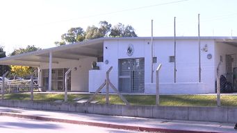 padres del jardin 306 denuncian presencia de ratas; caggiani dijo que volveran a fumigar y que el lunes retoman las clases