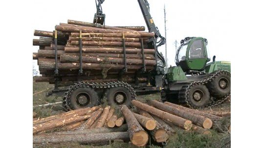Producción industrial creció 2,4% en junio tras 5 meses negativos