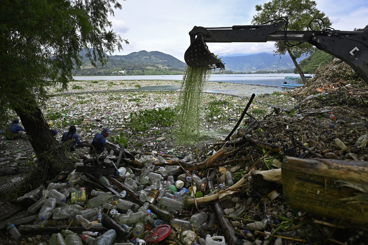 Trabajadores de la Autoridad para el Manejo Sostenible de la Cuenca y el Lago de Amatitlán (AMSA) recolectan desechos arrastrados por las lluvias y retenidos por una barrera instalada en uno de los afluentes del lago en Amatitlán, Guatemala, el 14 de septiembre de 2022. Foto: AFP