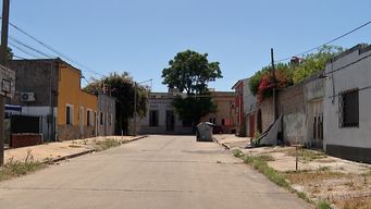 detuvieron a un hombre por el homicidio de una mujer de 25 anos en flor de maronas