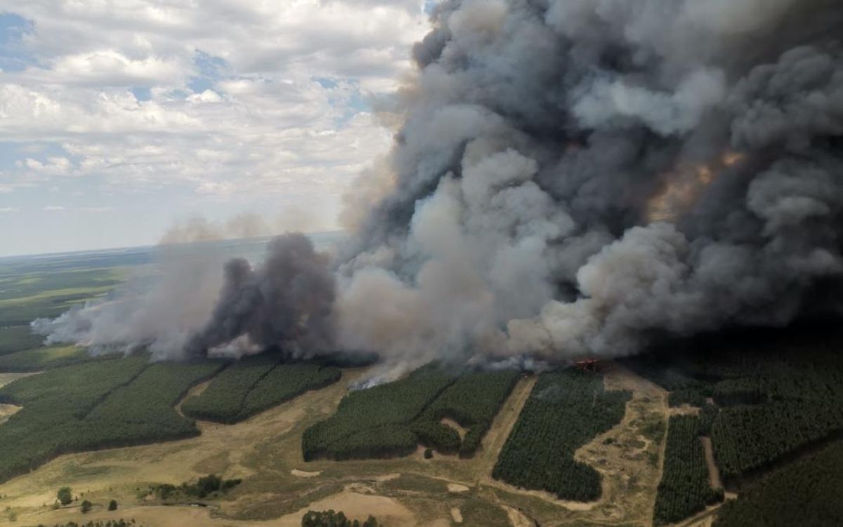 Son 46 los incendios forestales registrados este miércoles en área  metropolitana