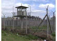 El 44% de los reclusos es primario, según informe oficial