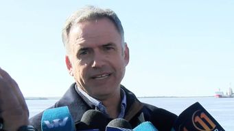 orsi mantiene designacion de carolina ache: los argumentos no nos empujan a tomar una decision en contrario